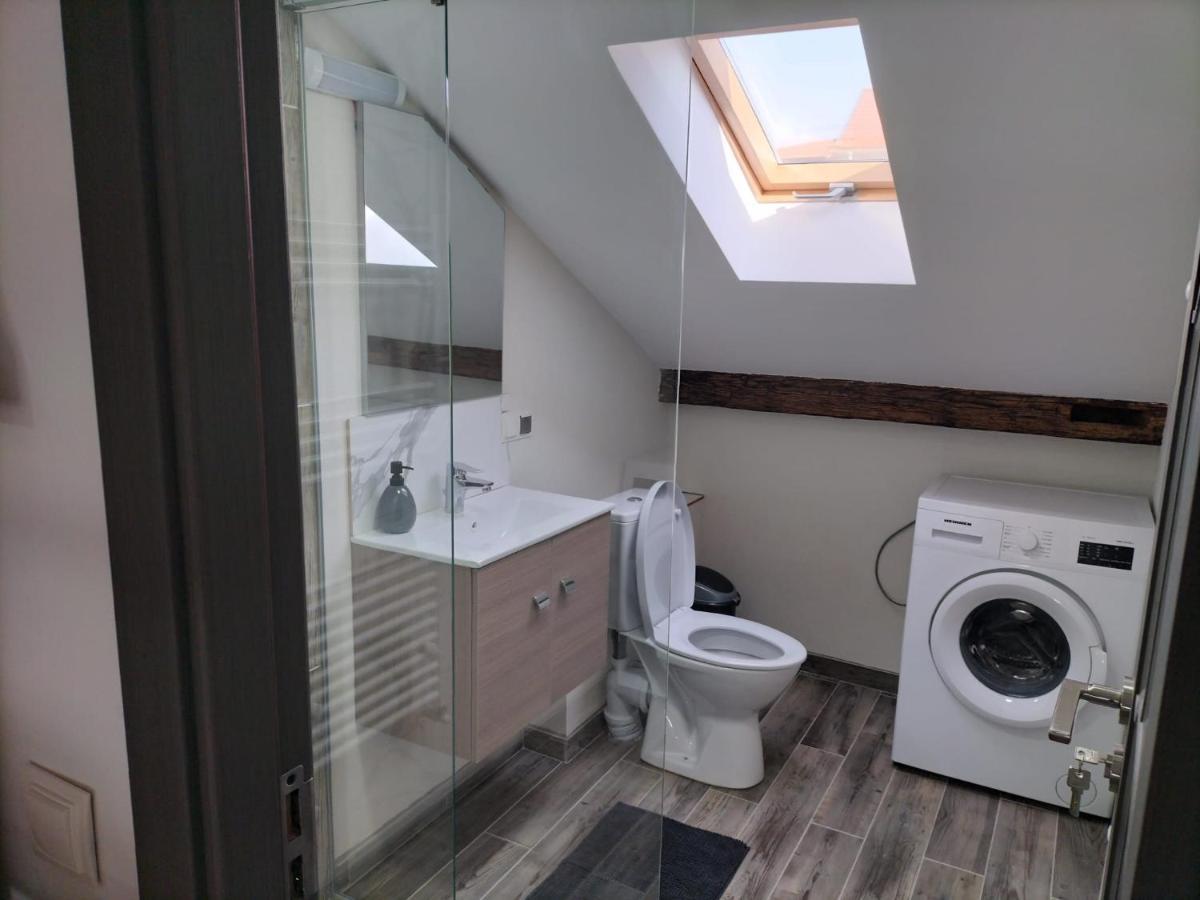 Cozy Loft Apartament Sighetu Marmaţiei Екстериор снимка